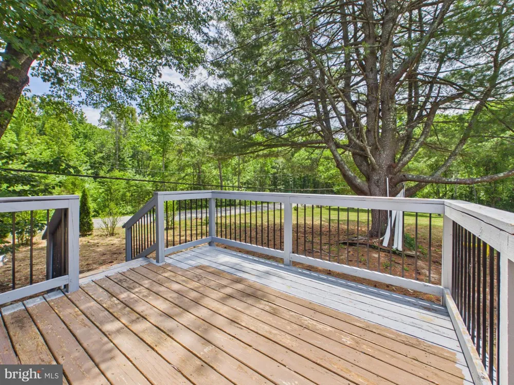 203 SHACKELFORD WELL ROAD Fredericksburg, VA 22406