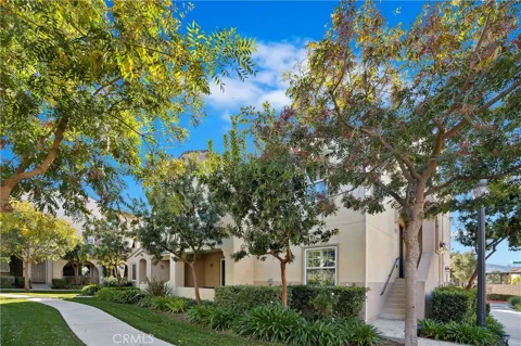 31205 Strawberry Tree Lane #47