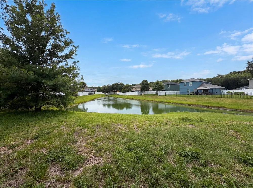 4876 GRASSY KNOLL DRIVE Tavares, FL 32778