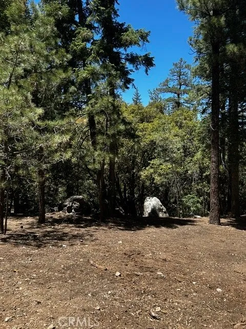 1221 Azalea Dr Pine Mountain Club, CA 93222