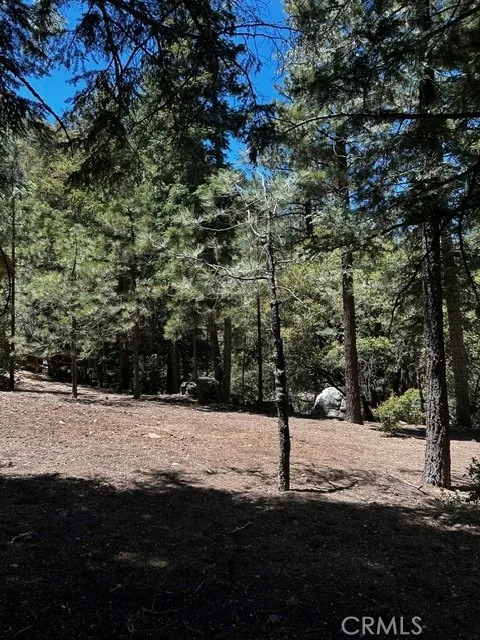 1221 Azalea Dr Pine Mountain Club, CA 93222