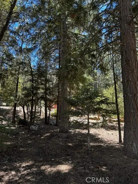 1221 Azalea Dr Pine Mountain Club, CA 93222