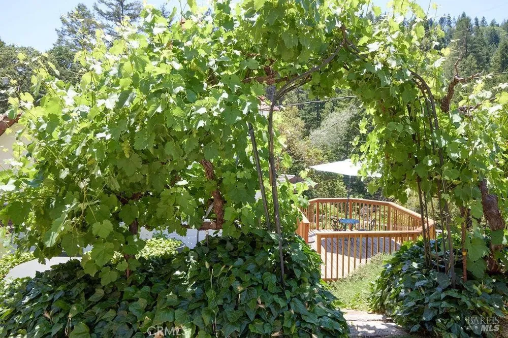 19400 Scenic Drive Redwood Valley, CA 95470
