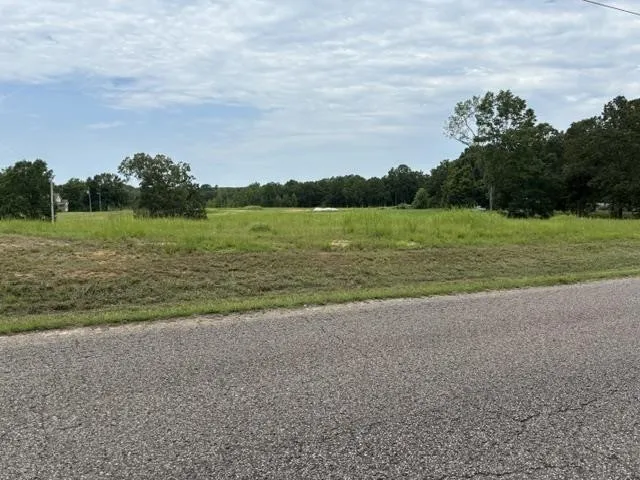 0 PURDY BEAUTY HILL RD Bethel Springs, TN 38315
