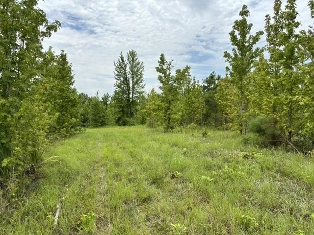 0 PURDY BEAUTY HILL RD Bethel Springs, TN 38315