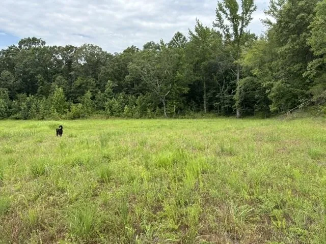 0 PURDY BEAUTY HILL RD Bethel Springs, TN 38315