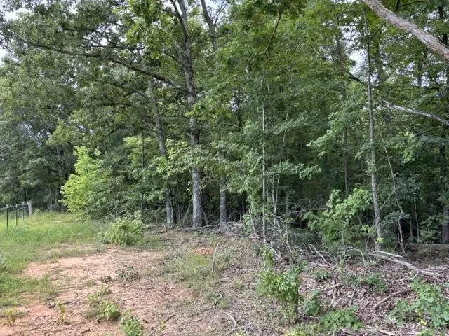 0 PURDY BEAUTY HILL RD Bethel Springs, TN 38315