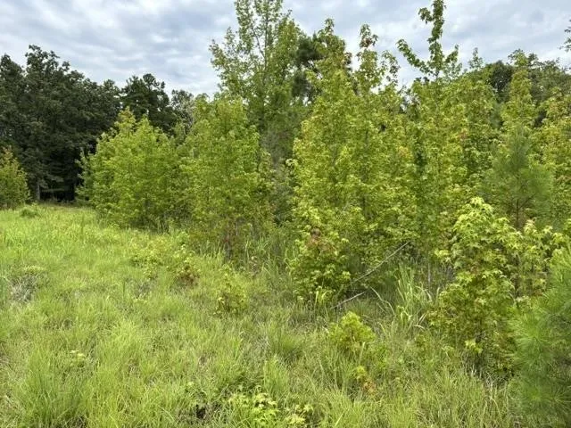 0 PURDY BEAUTY HILL RD Bethel Springs, TN 38315