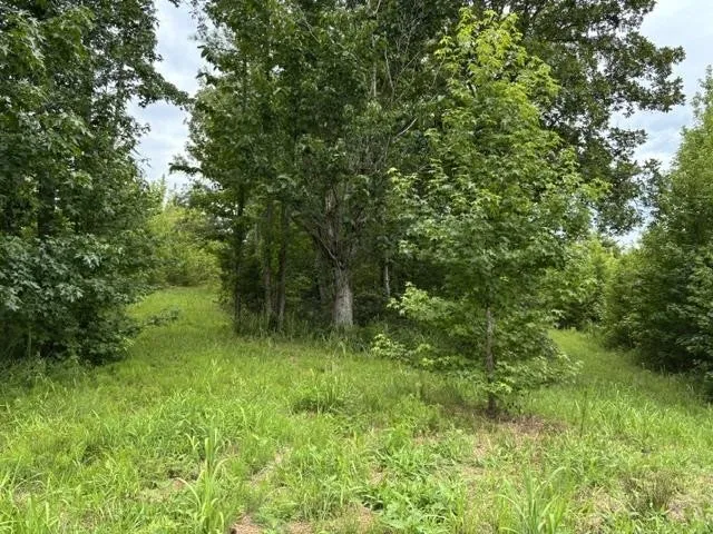 0 PURDY BEAUTY HILL RD Bethel Springs, TN 38315