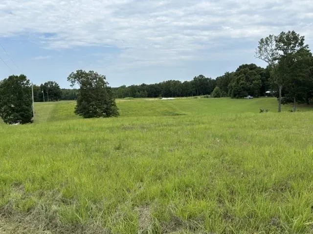 0 PURDY BEAUTY HILL RD Bethel Springs, TN 38315