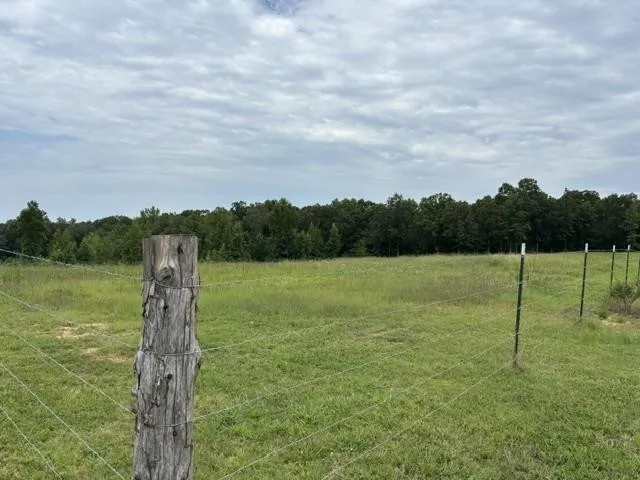 0 PURDY BEAUTY HILL RD Bethel Springs, TN 38315
