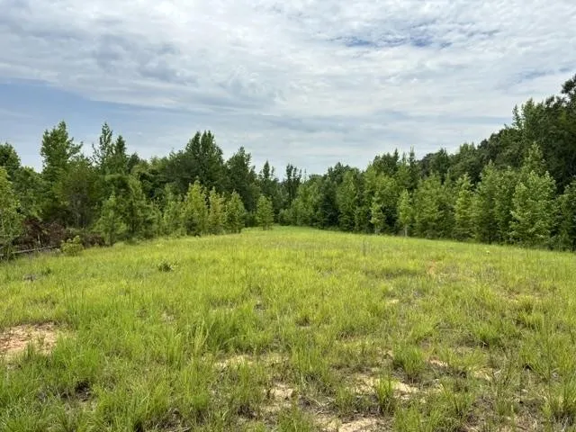 0 PURDY BEAUTY HILL RD Bethel Springs, TN 38315
