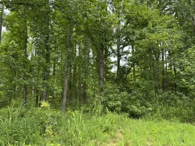 0 PURDY BEAUTY HILL RD Bethel Springs, TN 38315