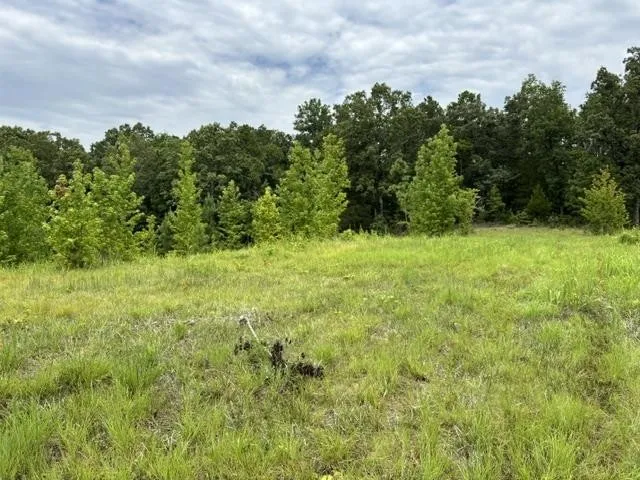 0 PURDY BEAUTY HILL RD Bethel Springs, TN 38315