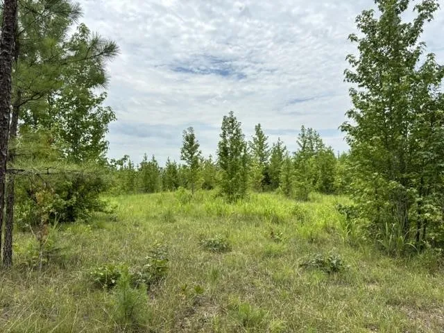 0 PURDY BEAUTY HILL RD Bethel Springs, TN 38315