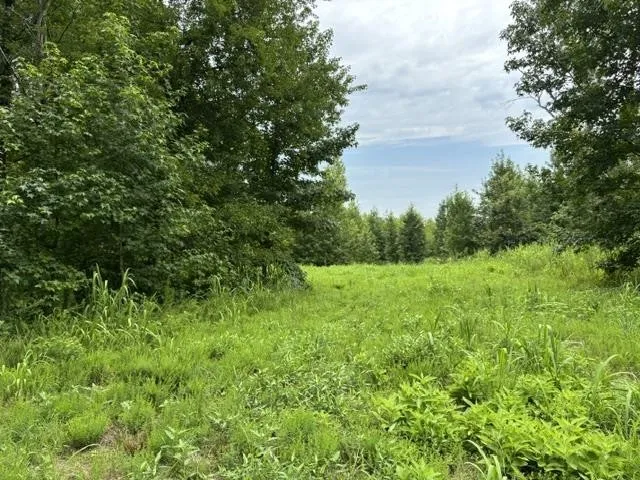 0 PURDY BEAUTY HILL RD Bethel Springs, TN 38315