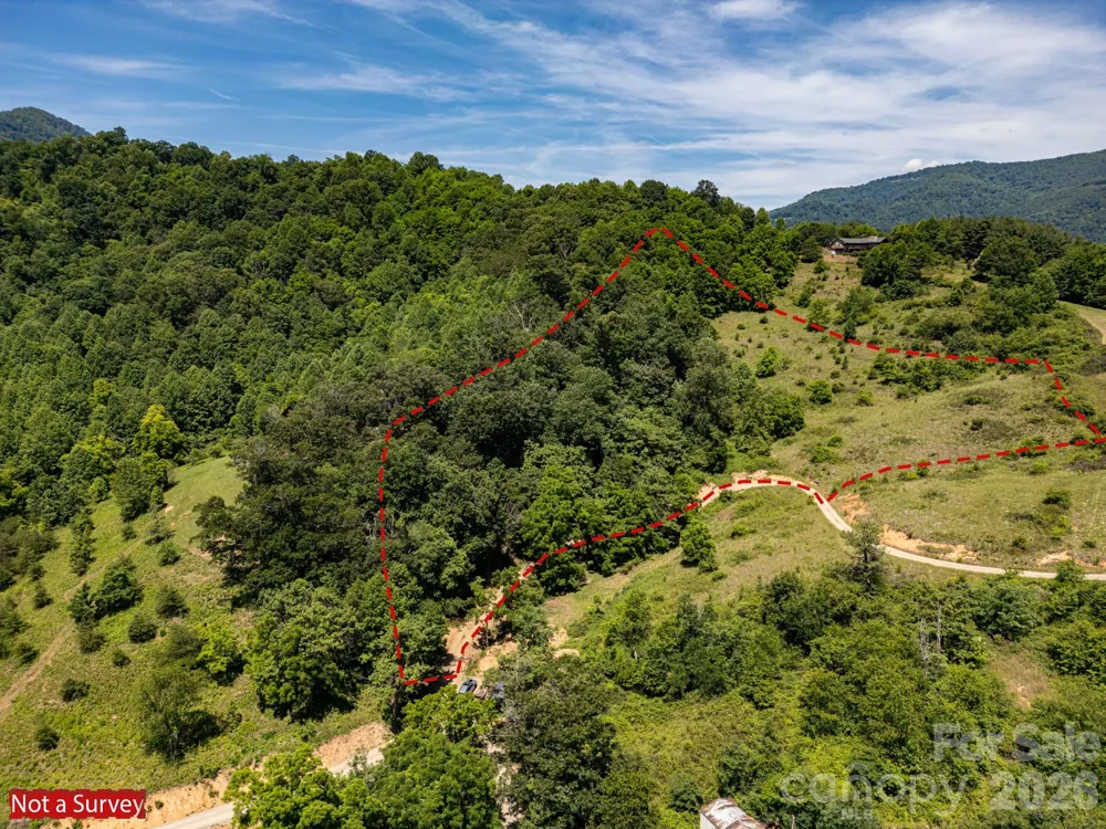 999 Murphy Cove Road Candler, NC 28715