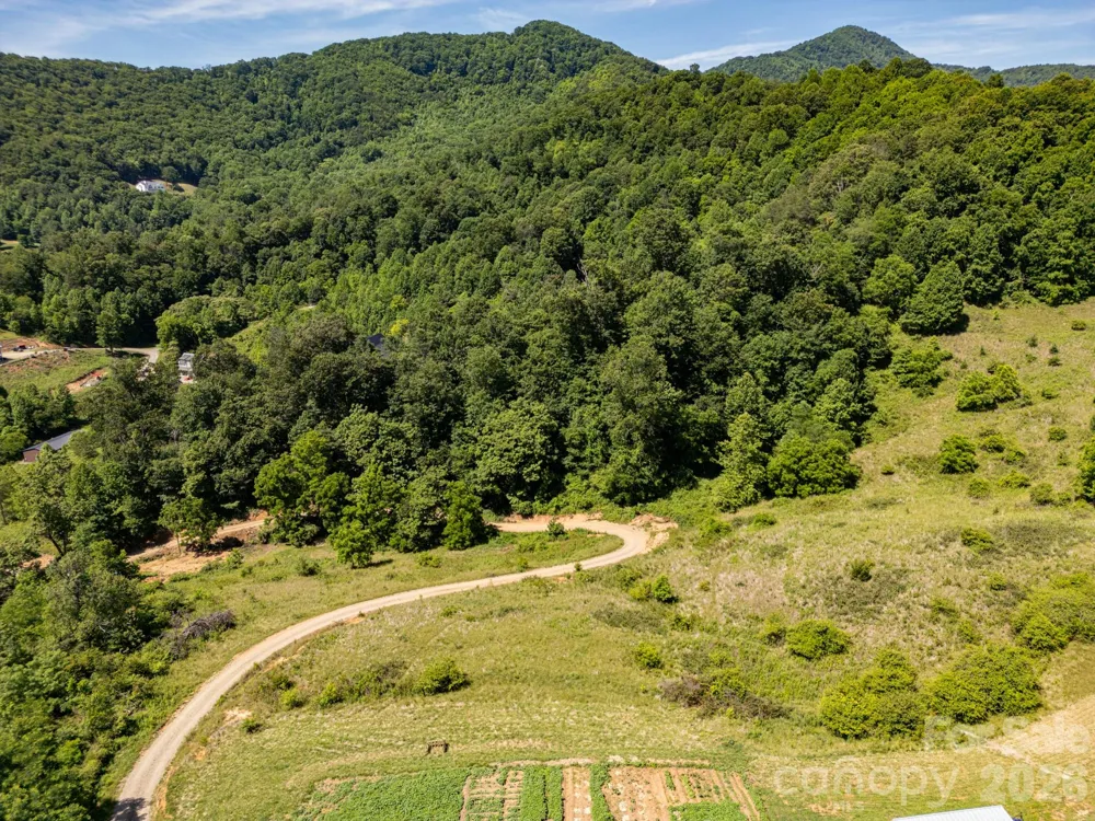 999 Murphy Cove Road Candler, NC 28715