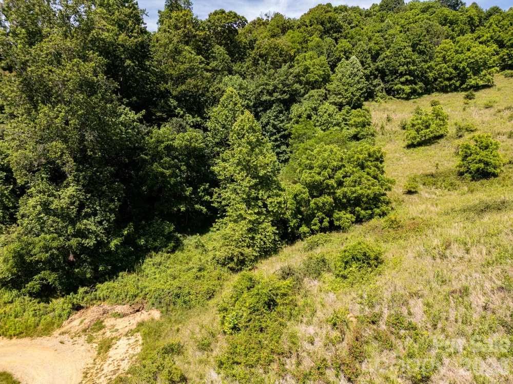 999 Murphy Cove Road Candler, NC 28715