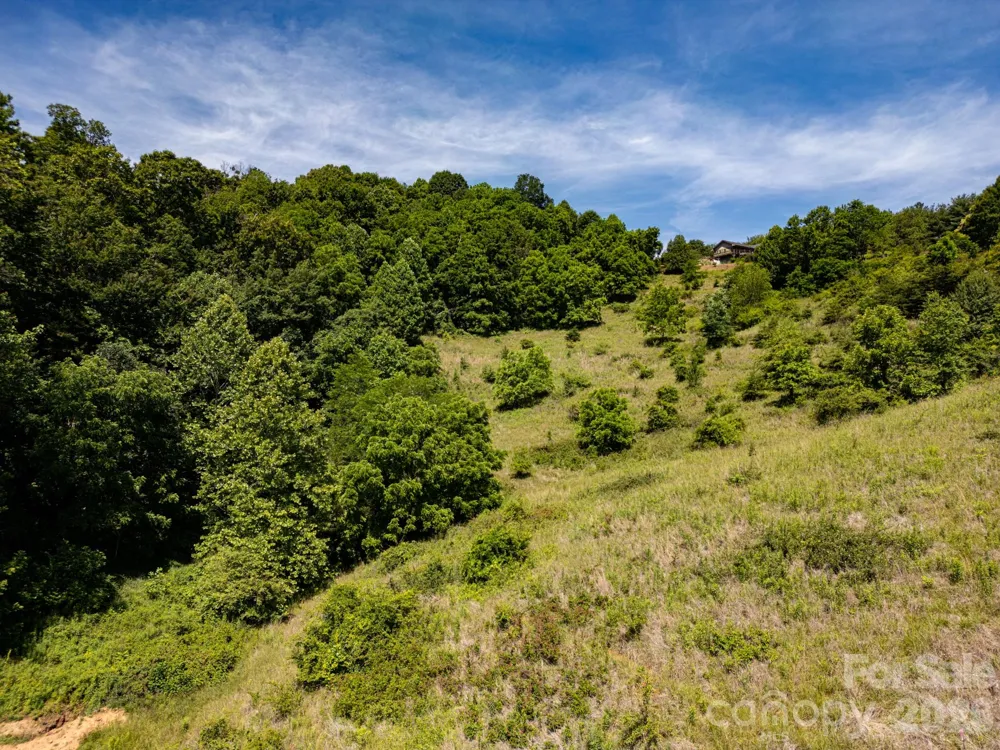 999 Murphy Cove Road Candler, NC 28715