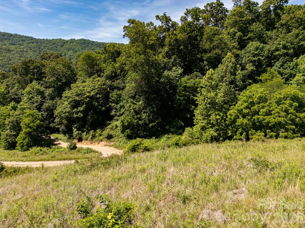 999 Murphy Cove Road Candler, NC 28715