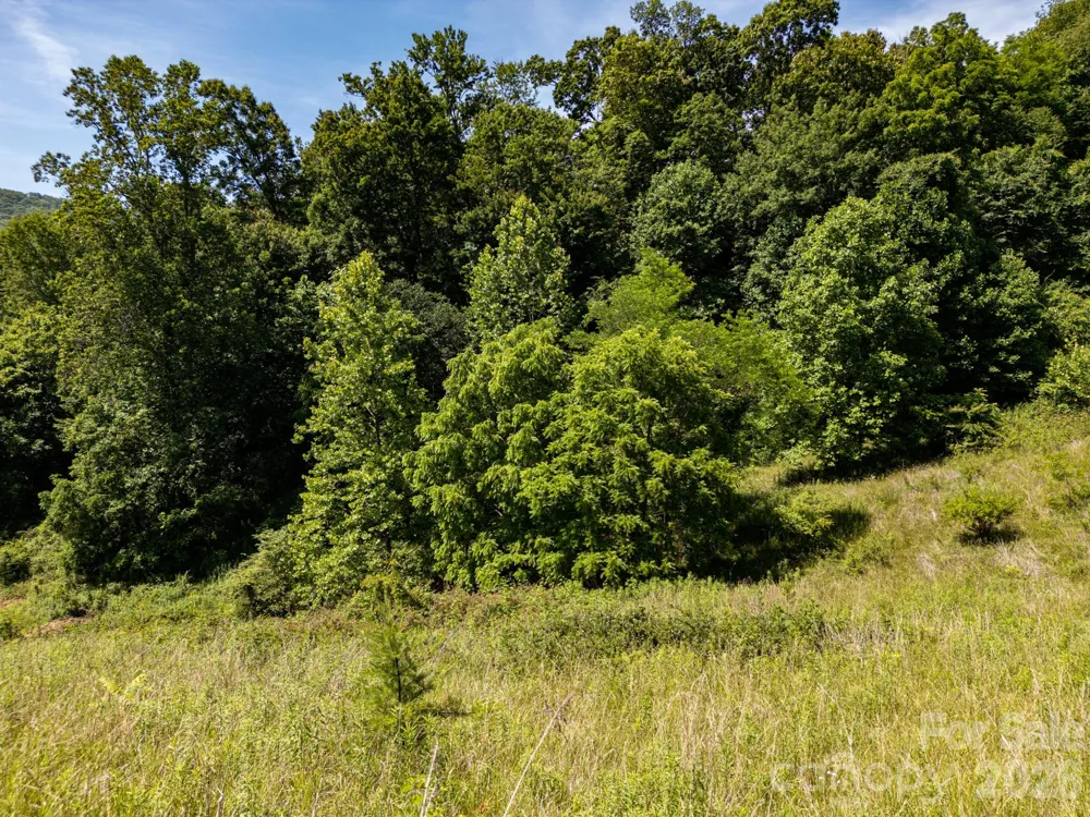 999 Murphy Cove Road Candler, NC 28715