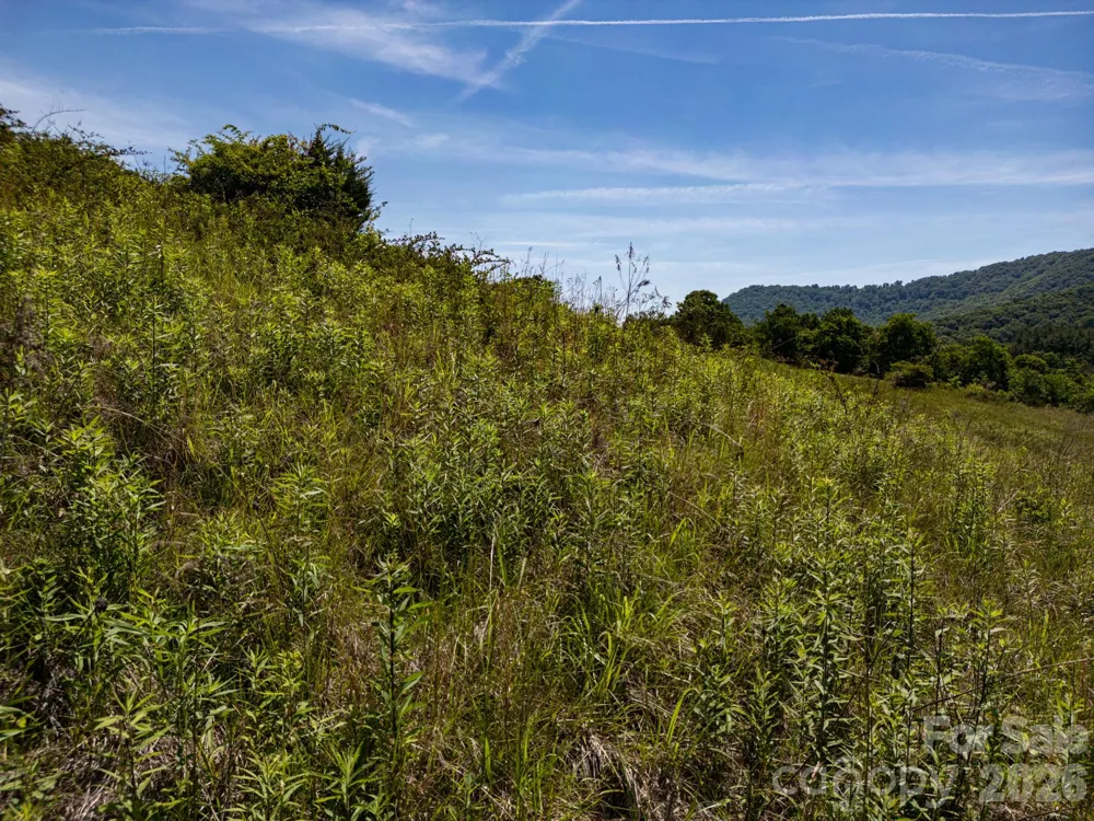 999 Murphy Cove Road Candler, NC 28715