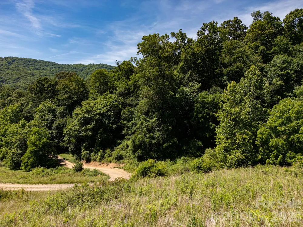 999 Murphy Cove Road Candler, NC 28715