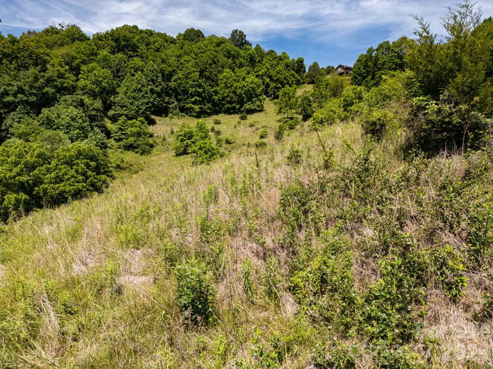 999 Murphy Cove Road Candler, NC 28715