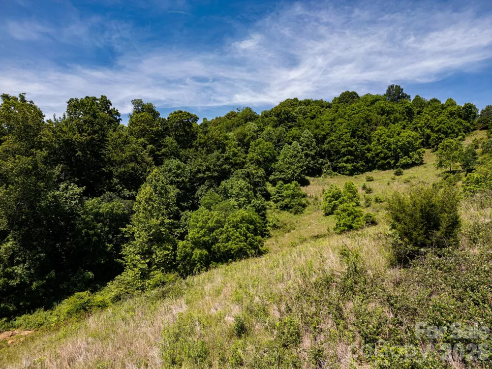 999 Murphy Cove Road Candler, NC 28715