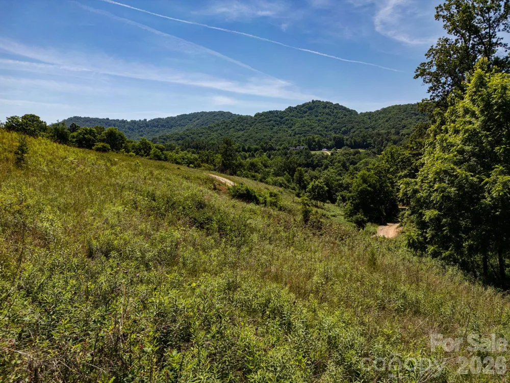999 Murphy Cove Road Candler, NC 28715