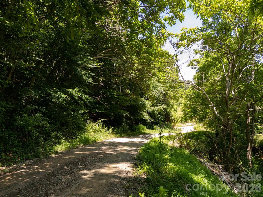999 Murphy Cove Road Candler, NC 28715