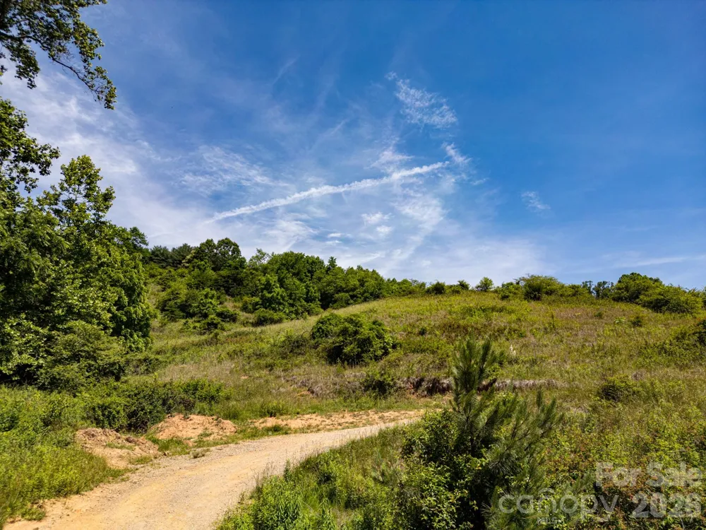 999 Murphy Cove Road Candler, NC 28715