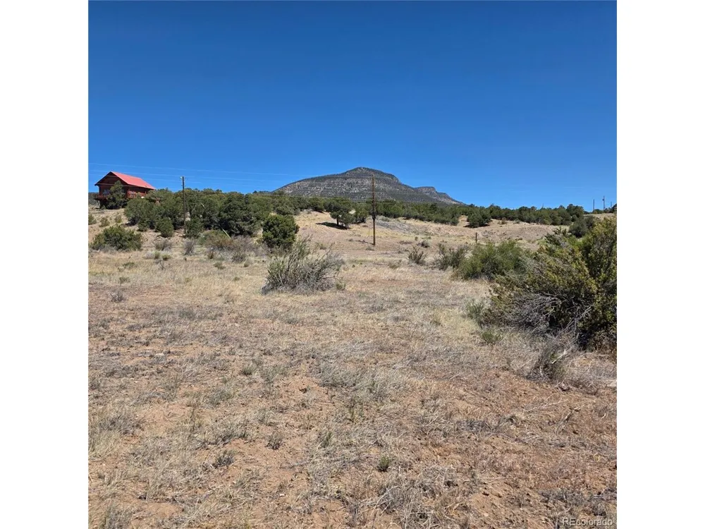 121 Neal Rd South Fork, CO 81154