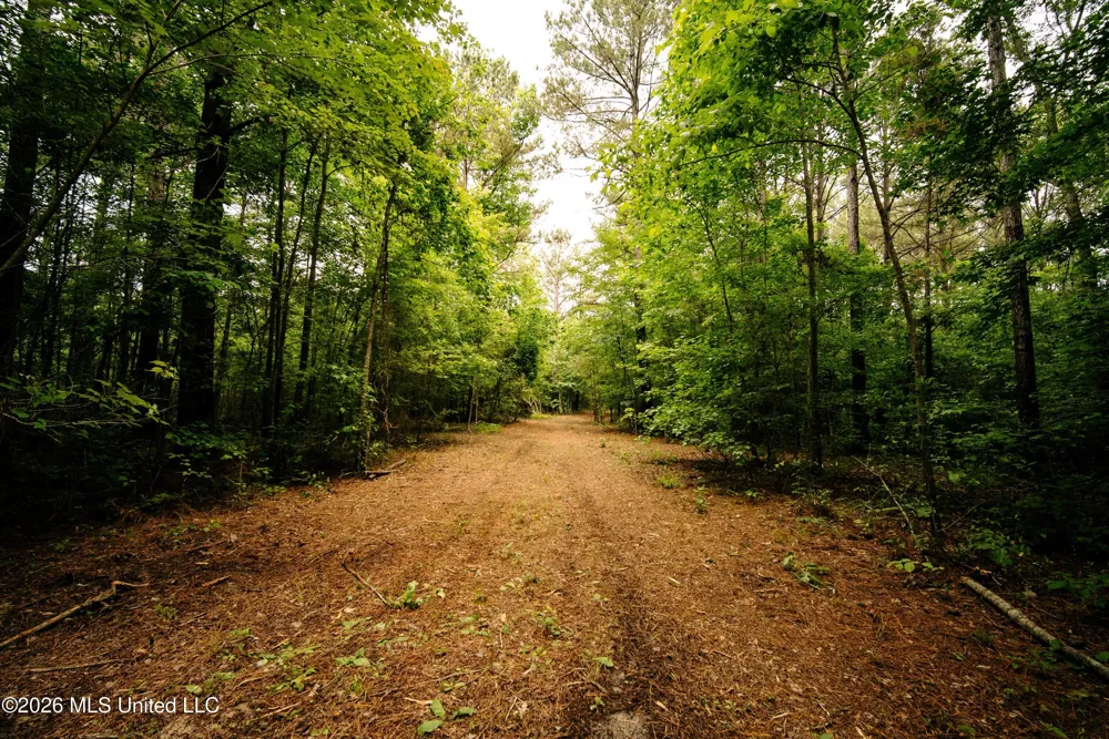 Reservation Road Philadelphia, MS 39350