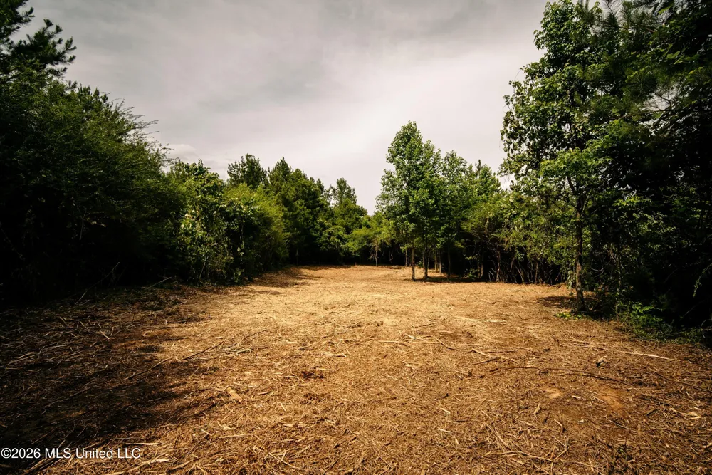 Reservation Road Philadelphia, MS 39350