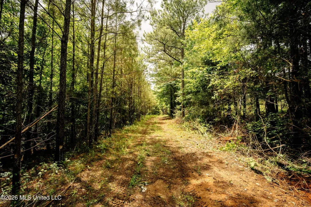 Reservation Road Philadelphia, MS 39350