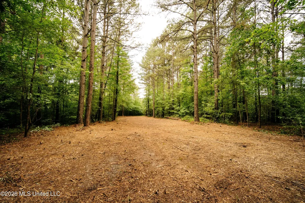 Reservation Road Philadelphia, MS 39350