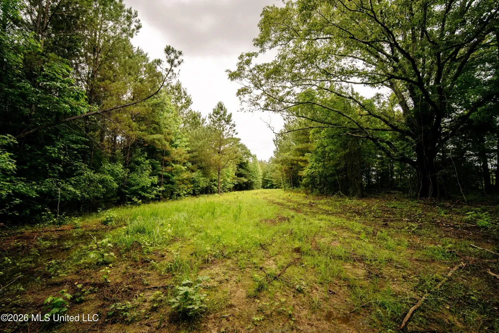 Reservation Road Philadelphia, MS 39350