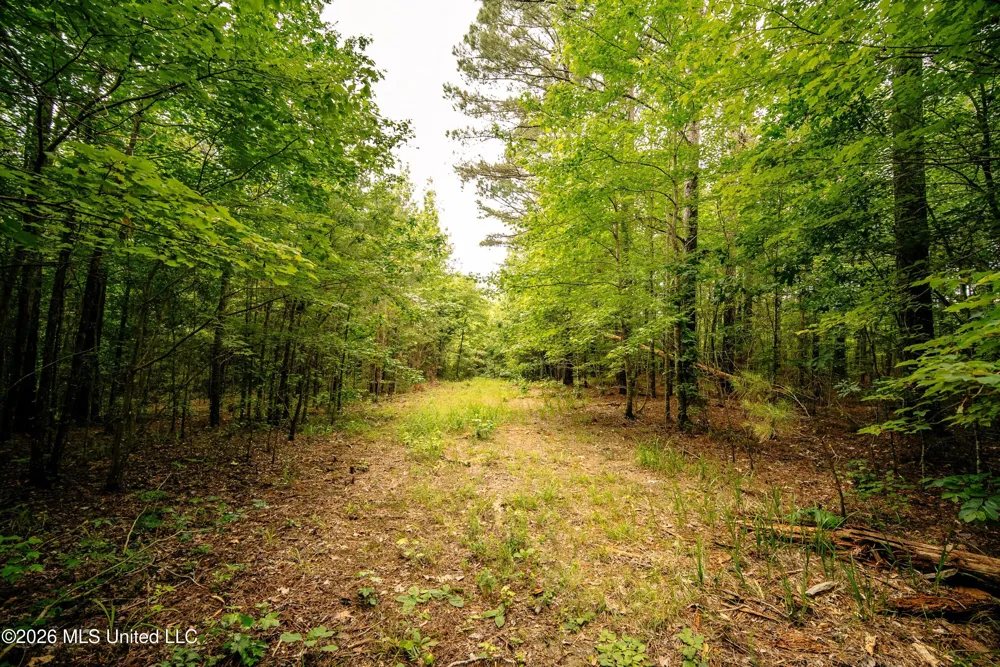 Reservation Road Philadelphia, MS 39350