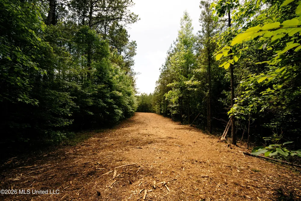 Reservation Road Philadelphia, MS 39350