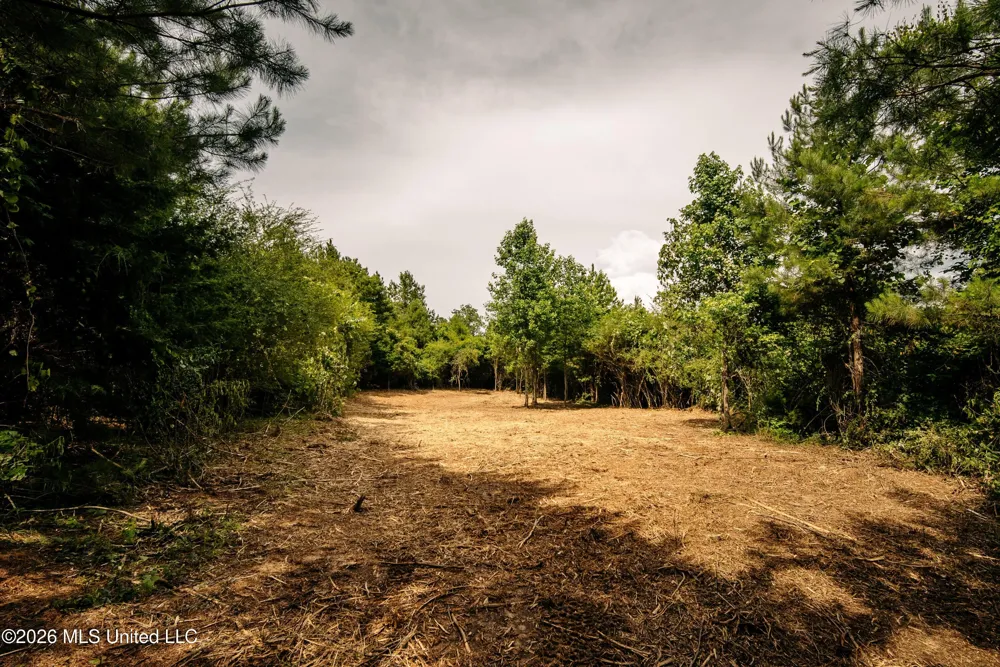Reservation Road Philadelphia, MS 39350