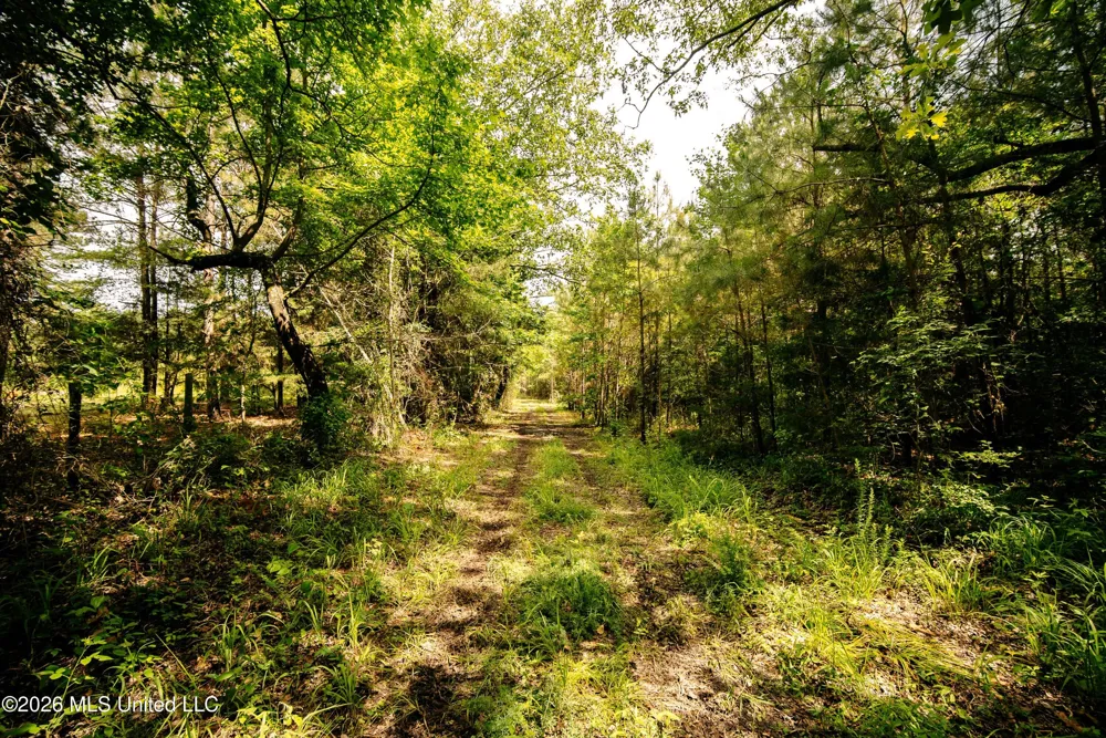Reservation Road Philadelphia, MS 39350