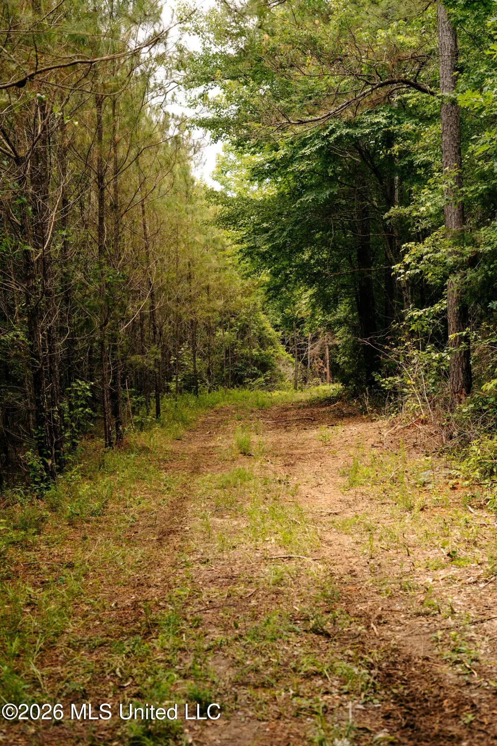 Reservation Road Philadelphia, MS 39350