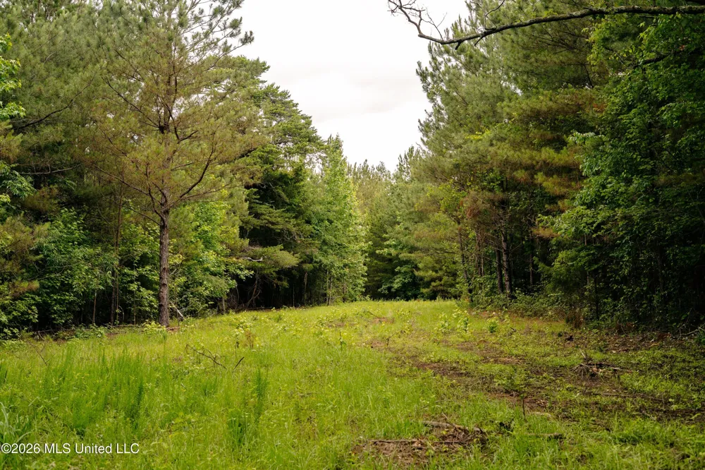Reservation Road Philadelphia, MS 39350