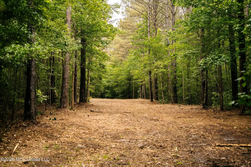 Reservation Road Philadelphia, MS 39350