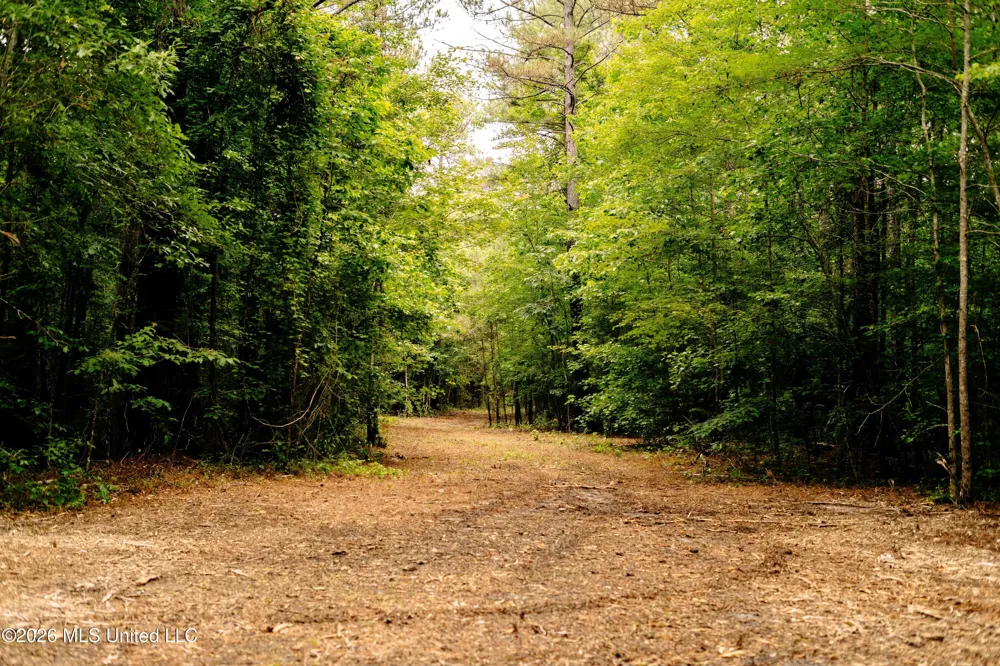 Reservation Road Philadelphia, MS 39350