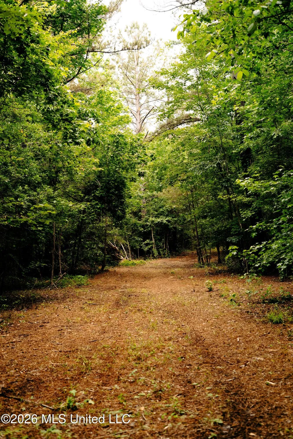 Reservation Road Philadelphia, MS 39350