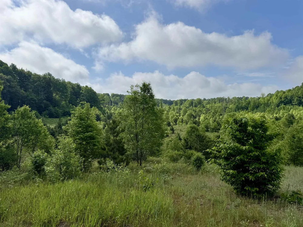Kasson Road Kasson Township, MI 49664