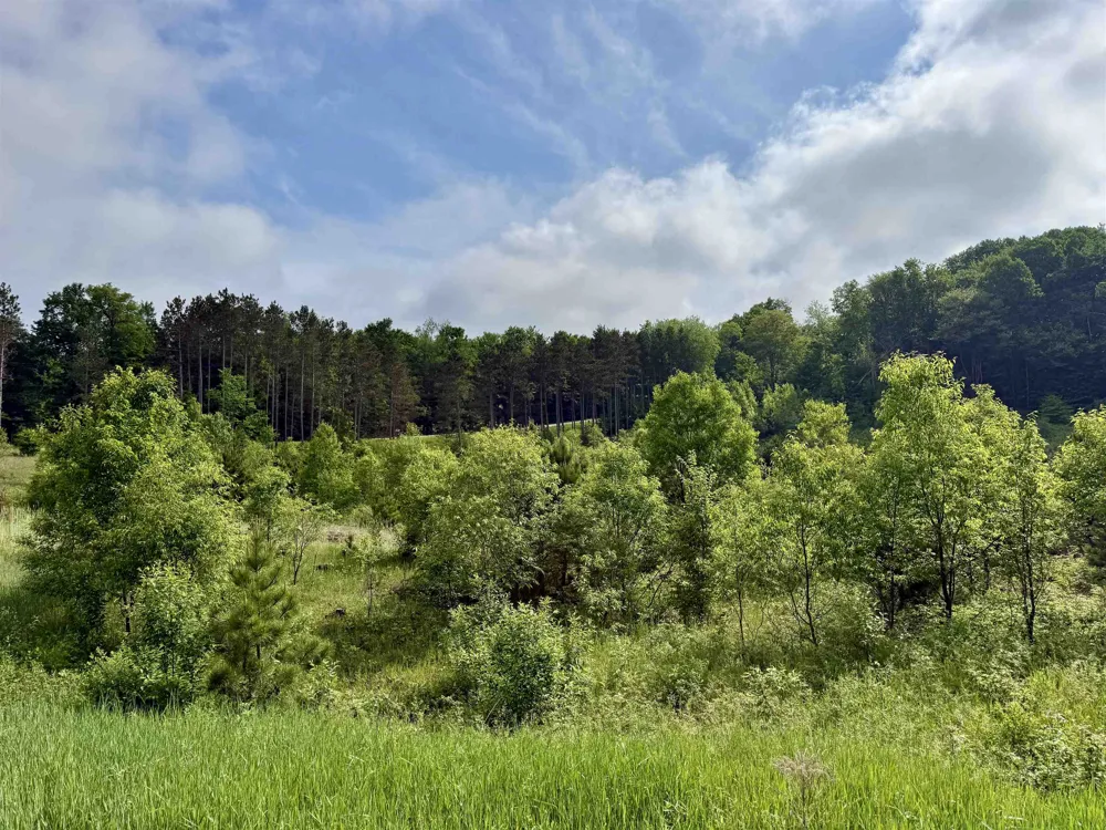 Kasson Road Kasson Township, MI 49664